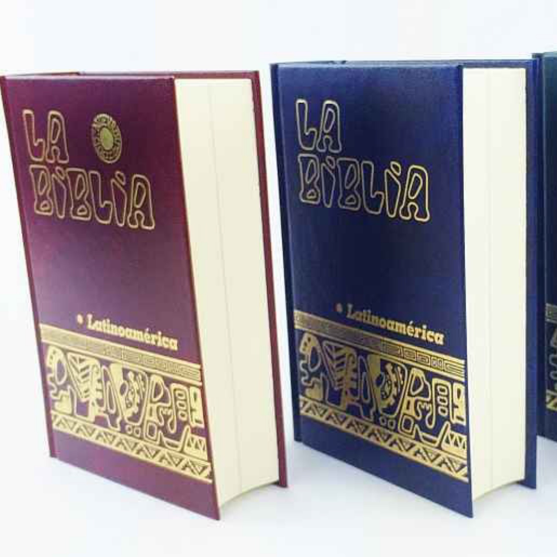 la sagrada biblia catolica latinoamericana